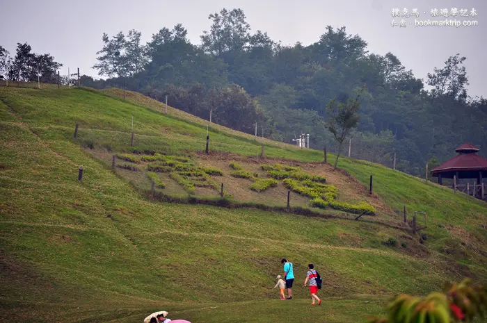 青青草原之羊咩咩脫衣秀：清境農場