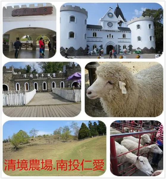 [南投仁愛]清境農場~咩咩咩,讓我們一起找羊咩咩玩耍去吧