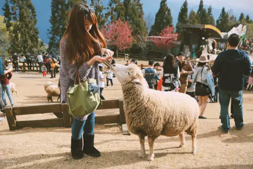 清境農場的暴走紀實