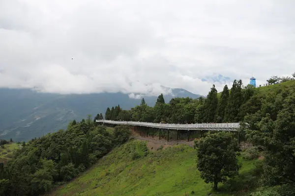 【南投】清境農場-高空景觀步道