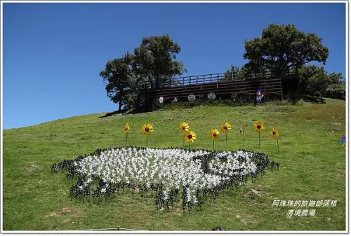 2014清境一夏清境風車節登場囉!清境農場篇