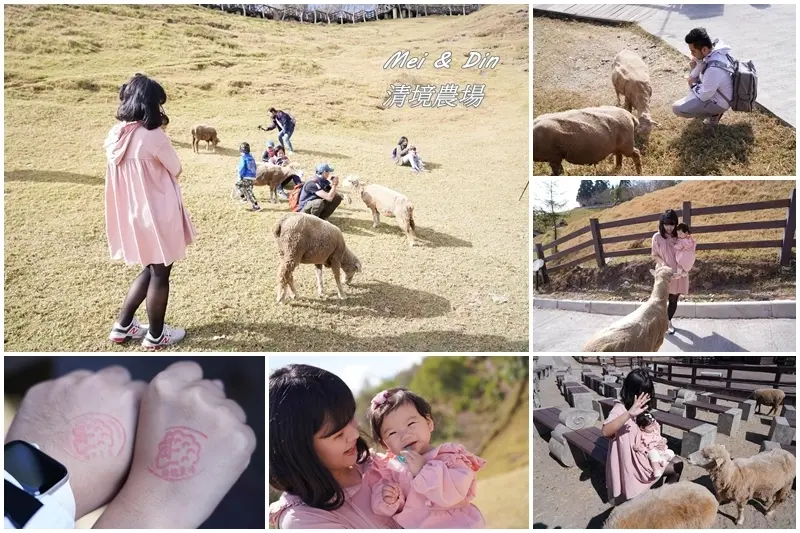 【南投景點】清境農場｜青青草原｜觀山牧區｜馬術秀｜