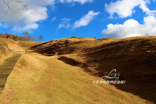 [ 南投⊙仁愛]清境農場。藍天.白雲.羊咩咩.還有好吃的擺夷豆干