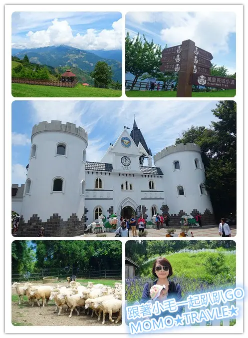 南投旅遊-青青草原(清境農場) 來與可愛的羊咩咩玩捉迷藏