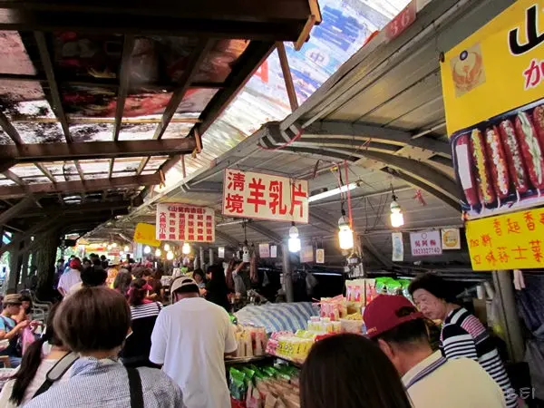 【南投景點】青青草原馬術秀∞連馬都比你會更多才藝