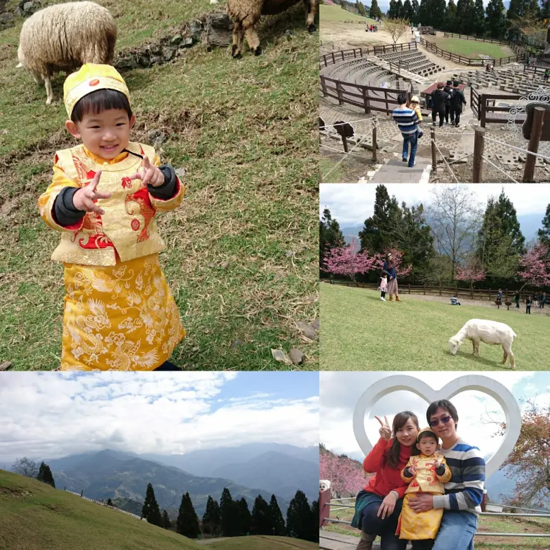 南投~清境農場 青青草原+清境天空步道~親近大自然的美~餵食可愛羊咩咩~親子同遊好景點~              