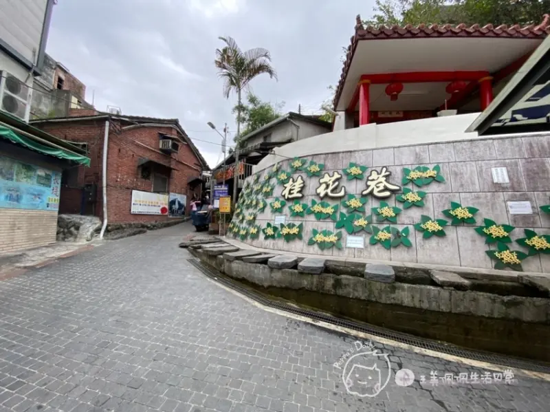 【親子旅遊】綠意環山家庭輕旅|南庄老街桂花巷-康濟吊橋|苗栗新竹兩天一夜