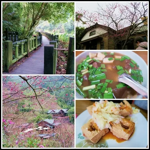 苗栗。南庄一日遊。蓬萊溪護魚步道。桂花巷。老郵局。十三間老街。碧絡角庭園咖啡