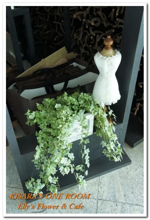 台北上空美麗花園咖啡的最終一瞥── Elly’s Flower & Cafe        
      