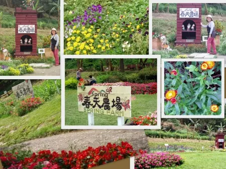 出家人的桃花源～春天農場                
      