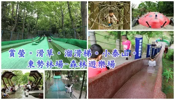 台中旅遊景點||森林系最歡樂的遊樂場~東勢林場遊樂區||滑草場。小泰山。磨石溜滑梯。賞螢。免費泡腳戲水池!