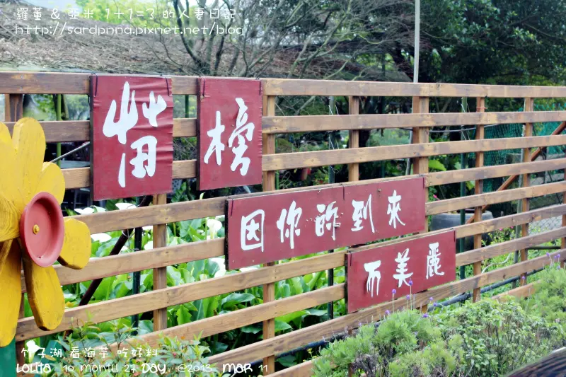 {台北 食記}陽明山 竹子湖 看海芋 吃大餐