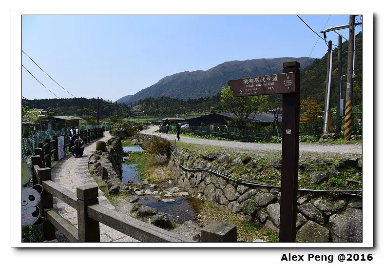 台北市-陽明山竹子湖賞海芋+苗榜海芋園