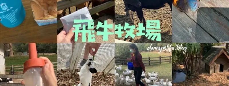 親手擠牛奶、餵小牛喝奶、做雞蛋糕，這間牧場通通有！不只適合親子、長輩，還是寵物友善景點！丹尼的吃喝玩樂～