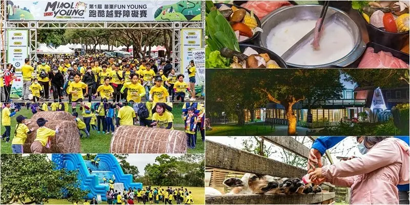 【苗栗-銅鑼】2020苗栗Miaoli Fun Young跑酷越野障礙賽.十大關卡全攻略+飛牛牧場一泊兩食