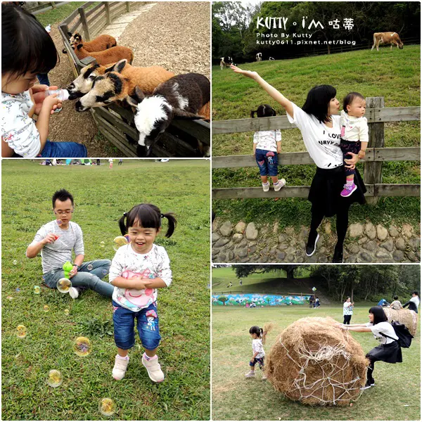 ▌苗栗景點 ▌親子熱門牧場_飛牛牧場！親子遊飛牛～全區跟著我走一輪(影片)
