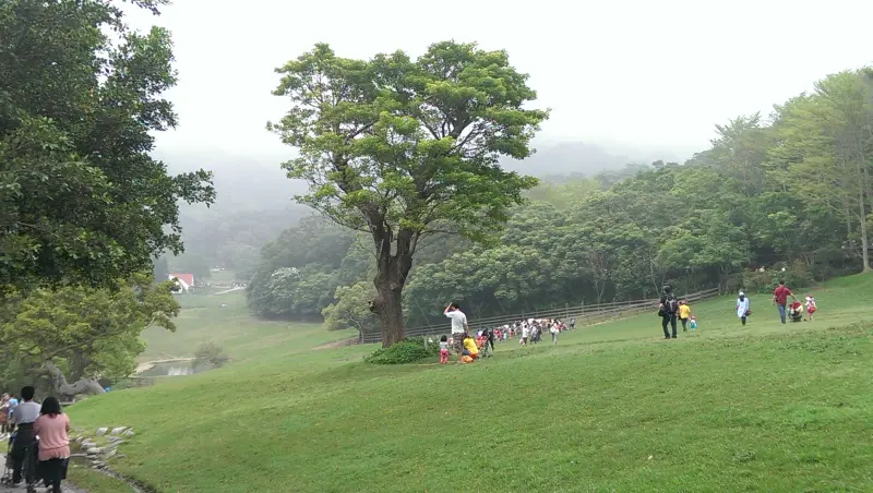 鳳梨酥遊記|PART ONE-【為什麼飛牛牧場的牛不會飛?!】