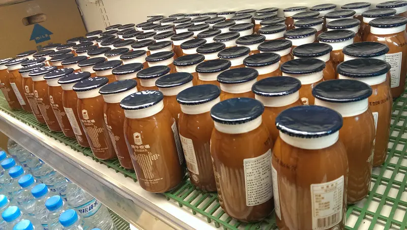 與牛共舞，來去牧場奔跑吧!