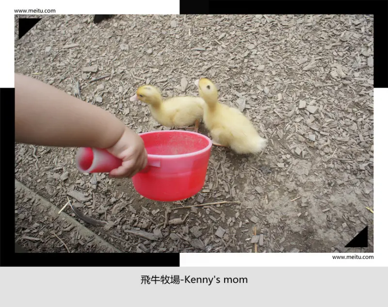 媽媽寶寶旅遊去-遛小孩好去處之苗栗飛牛牧場