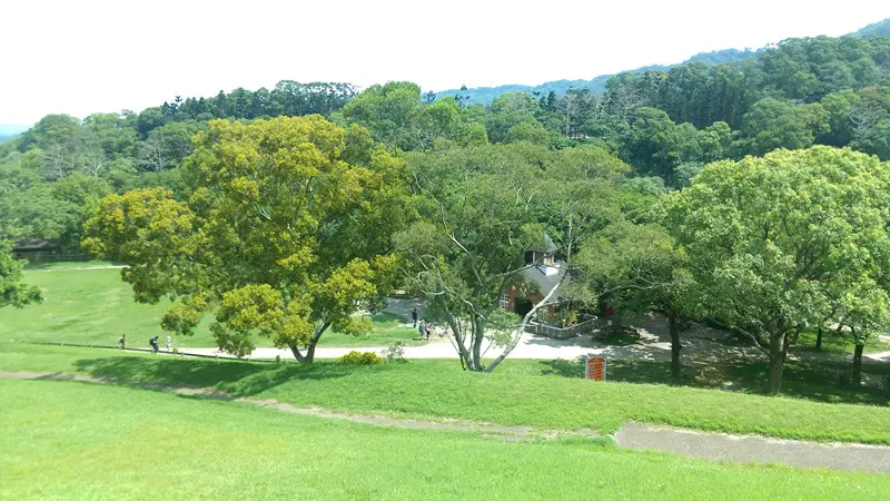 不一樣的飛牛牧場體驗，來住一晚吧!