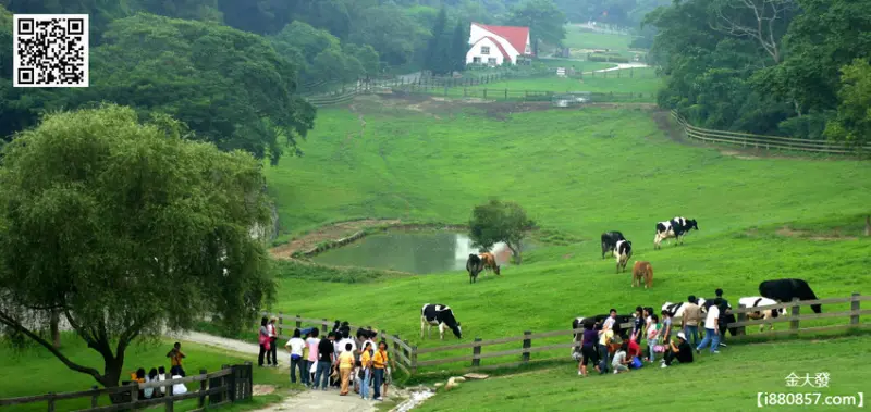 «苗栗»通霄飛牛牧場 | 苗栗親子踏青一日遊好去處