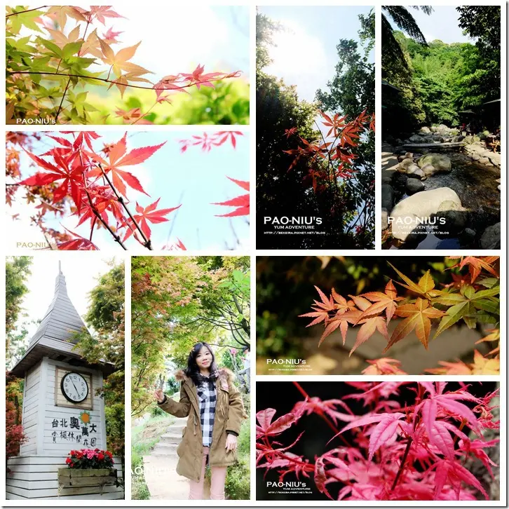 ▋〈遊記〉台北奧萬大。春季楓紅，不出國也能賞日本楓 ▋