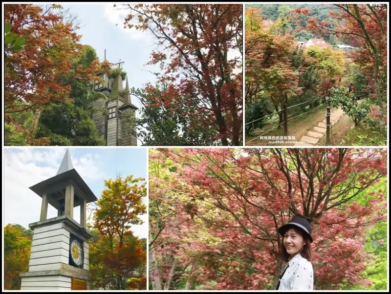 台北奧萬大樂活莊園。春天的楓好紅