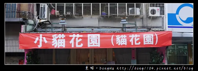 【台北食記】貓咪咖啡館|超多貓咪陪喝下午茶|芝山捷運站旁|小貓花園