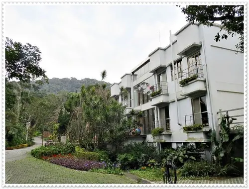 納美花園_新菜色_無菜單蔬食料理