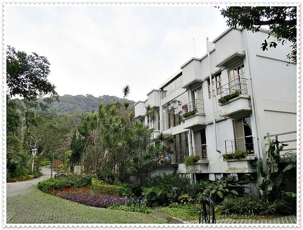 納美花園_新菜色_無菜單蔬食料理