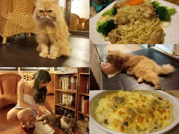 食記 ► 台北市 信義區 ◄ CafeNO.218小猴子咖啡廳 ✔ 捷運沿線必吃美食：捷運市政府站 x 兩隻可愛貓咪靜謐巷內咖啡廳。有wifi