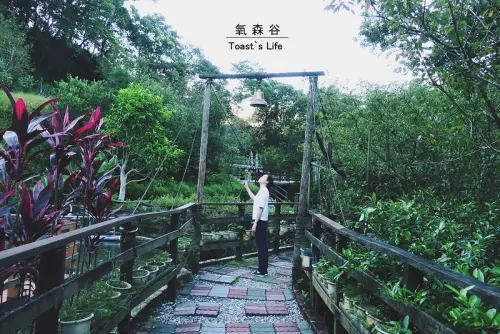 食坪林｜氧森谷，隱身山林裡的景觀餐廳