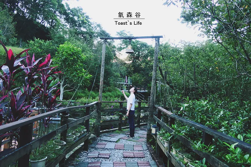 食坪林｜氧森谷，隱身山林裡的景觀餐廳