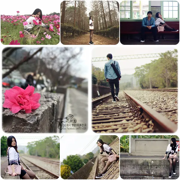 【遊】泰安派出所櫻花季+泰安車站好好拍+秘境如光寺 