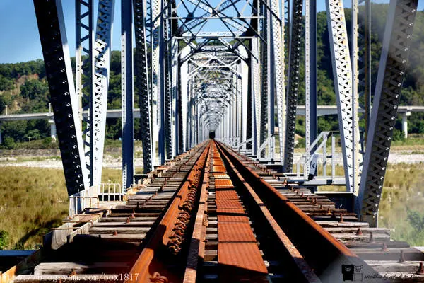 【台中。后里】泰安舊山線。大安溪鐵橋。花樑鐵橋 。泰安落羽松。泰安風情畫