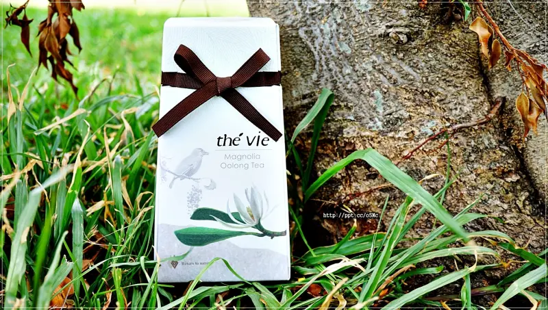 【GO38購物網】宅配美食～the vie玉蘭花烏龍茶&唯豐豬肉乾，追劇來一杯回甘好茶，搭配肉乾，一整天都是小確幸