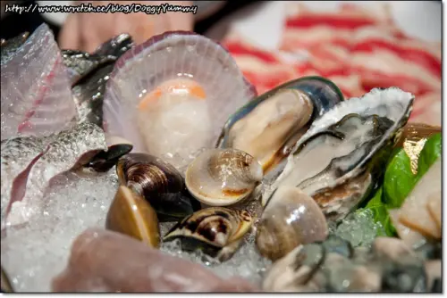 [鍋物] 海宴日式和風涮涮鍋‧活蹦亂跳的現撈海鮮