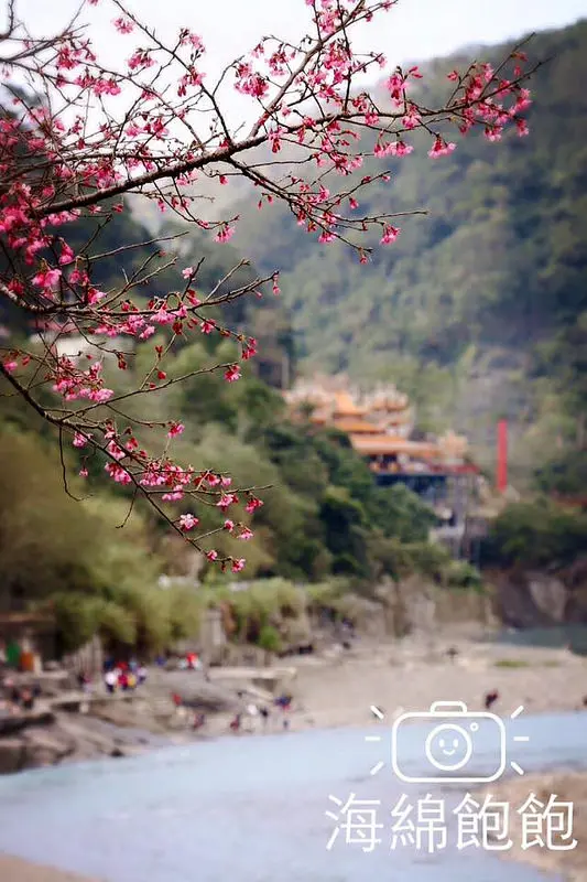 新北烏來一日遊行程-北部賞櫻景點-烏來老街周邊介紹