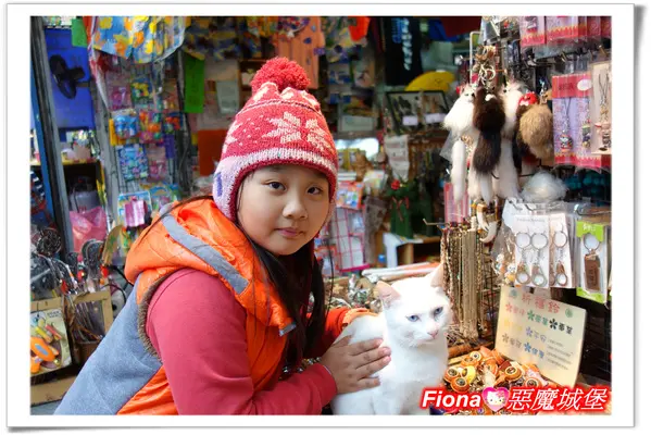 【基隆新北遊。烏來】老街+泰雅民族博物館+吊橋