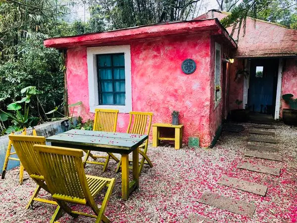 │食記│陽明山/蒙馬特影像咖啡館✨陽明山特色咖啡館x愜意放鬆的步調之旅