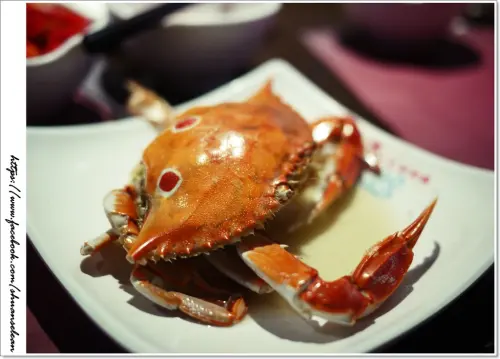 ◊吃的不只是鍋 還有多樣主廚料理吃到飽 ➩ 海角金龍百匯鍋