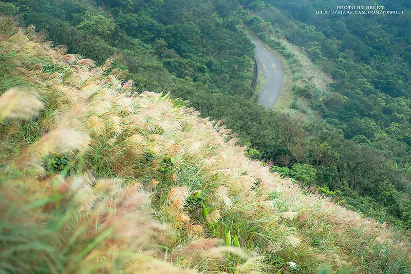 【台北】。2014草嶺古道芒花季健行一日遊 │ 福隆火車站→大里火車站 │ 遠望坑親水公園．跌死馬橋．芒草埡口觀景亭．大里天公廟