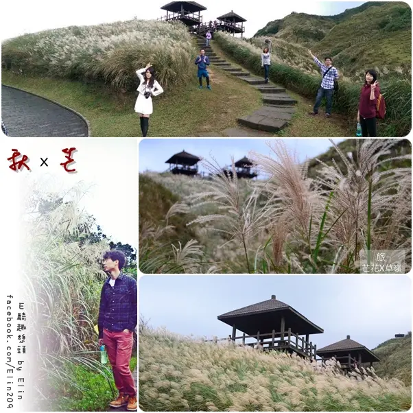 【遊】白浪滔滔～舞秋風‧曳飛芒！2014草嶺古道芒花季