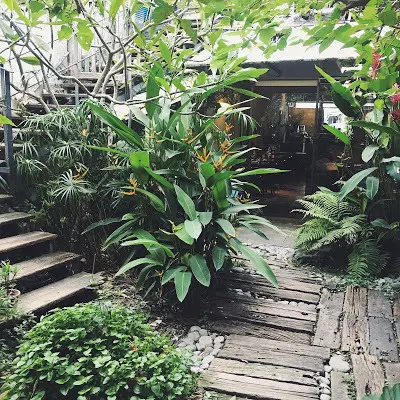 Cheela小屋咖啡館- 醉心於綠蔭裡的咖啡小屋