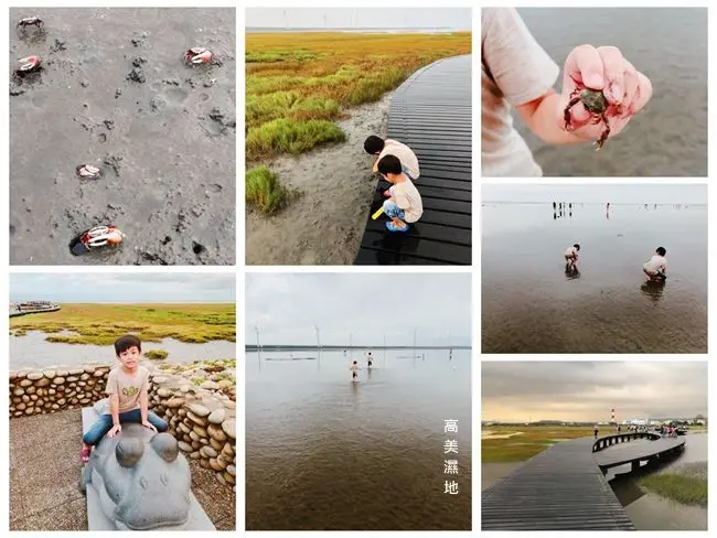 台中一日遊景點 ▶ 高美濕地 ▶ 木棧道觀賞螃蟹、彈塗魚、浪漫夕陽 親子玩水、抓螃蟹、挖蛤蜊 #潮汐表 #木棧道開放時間 #交通資訊