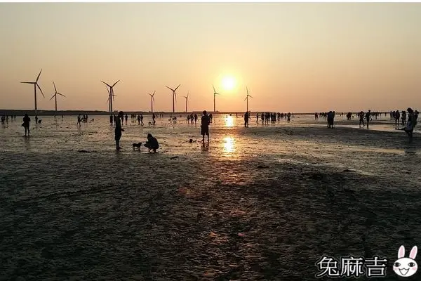 [台中清水]生態豐富的高美濕地X夕陽、風車X追逐風追逐太陽X一起享受自然