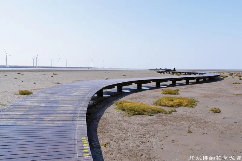 【台中-清水區】高美野生動物保護區木棧道觀看濕地生物