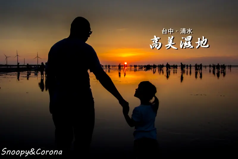 清水景點／高美濕地～一生必遊一次的景點，豐富的自然態還有美翻天的夕色