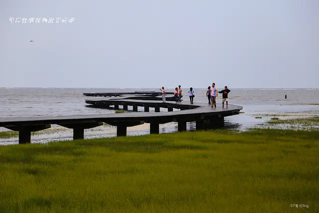 高美濕地。體驗大自然生態之風情。賞鳥。招潮蟹。彈塗魚。