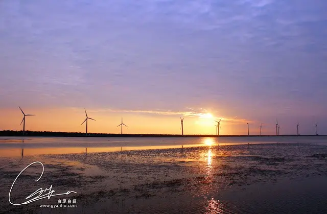 食遊台中：高美濕地